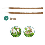 2 Palos Tutor Musgo Flexible Para Plantas 100cm / Fibra Coco