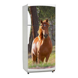 Vinilo Decorativo Heladera 50x100cm Animales Caballo Horse 5