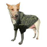 Buzo Hoodie Ropa De Perro Zebra Verde Talles Varios Grandes