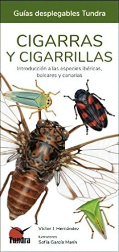 Cigarras Y Cigarrillas - Guias Desplegables Tundra, De Victor J. Hernandez. Editorial Tundra, Tapa Blanda En Español, 2022