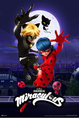 Miraculous Ladybug Y Cat Noir Team Up Dibujos Animados Serie