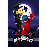 Miraculous Ladybug Y Cat Noir Team Up Dibujos Animados Serie