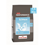Royal Canin Club Performance Kitten (gatito) X 7.5kg Caba