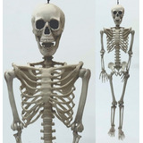 Esqueleto Articulado 90cm Caveira Halloween Dia Das Bruxas
