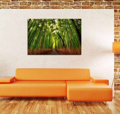 Vinilo Decorativo 60x90cm Bosque Bambu Caña Arbol