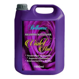 Bidón Shampoo Matizador Violet Hair Profesional 5 Litros