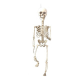 Esqueleto Articulado Entero Calavera Decoracion Halloween 