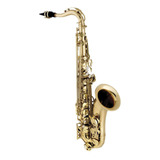 Saxofone Tenor Vogga Vsts701 Com Acabamento Laqueado C/ Case