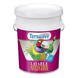 Latex Tersuave Lavable Satinado Premium Estirenado 20lt