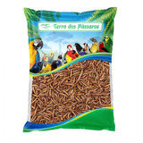 Kit 2 Unidades De Tenébrio Comum Desidratado Pequeno - 200g