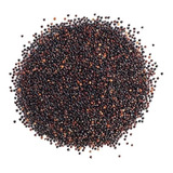 Quinoa Negra Semilla 1kg. Agronewen