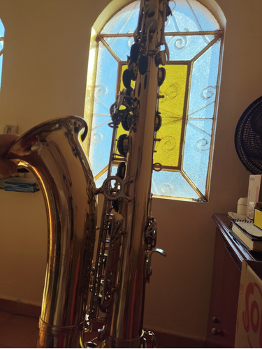 Saxofone Michael Semi Novo Impecável 
