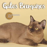 Libro: Gatos Birmanos Calendario 2022: Calendario 12 Meses 2