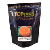 Sementes De Abóbora Moranga Exposição 250g Topseed Premium