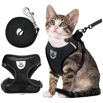 Pechera Arnés De Seguridad Para Perro Chico Mediano Y Grande Negro M