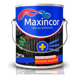 Tinta Epóxi Biocomponente Maxincor 3,6l Azul Piscina Galão