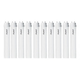 Kit 10 Lampada Led Tubular 18w 120cm T8 Branco Frio Avant