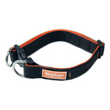 Collar Perros Resistente Doble Correa Chapita Natcan K9