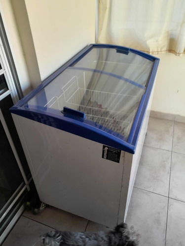 Freezer Inelro 350