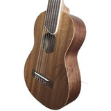 Guitarra Viajera Ukelele Guitarra Guitalele Guitarlele 