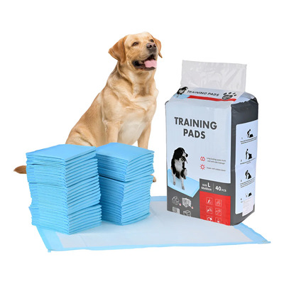Pañal Almohadilla Entrenamiento Para Perro Y Gato 40pz 60x60 Color Azul Acero Talla L 60x60