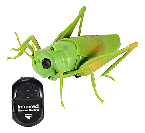 Rc Saltamontes Juguete Insecto Saltamontes Modelo Novedad