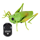 Rc Saltamontes Juguete Insecto Saltamontes Modelo Novedad