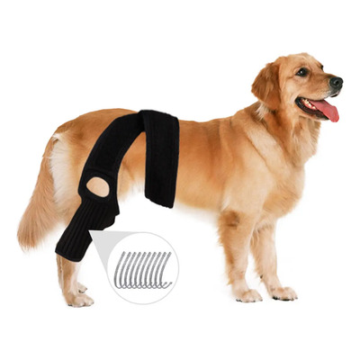 Rodillera Para Perro Para Apoyo Lesiones Ligamento Cruzado