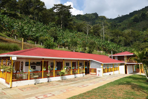 Finca En Buenavista Quindío - Imagen 2