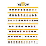 Color Amarillo Permanente (todos Los Colores), Tono 9.31, Rubio Muy Claro, Gris Dorado