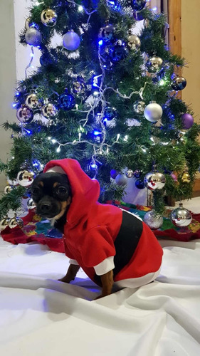 Ropa Para Perro Suéter Navideño Perro Mediano