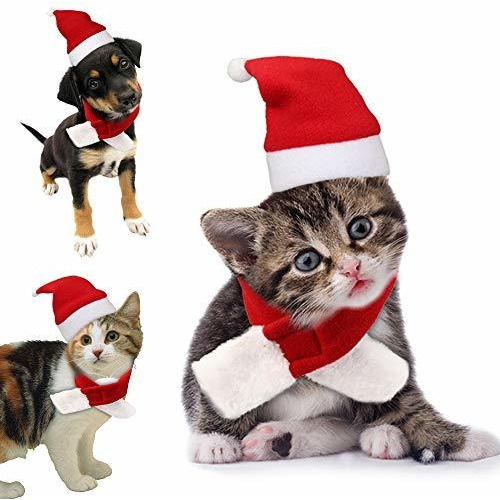 Traje De Navidad De Gato Pequeño Sombrero De Papá Noel Con