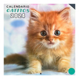 Calendario 2024 Gatos Gatitos, Modelo 2