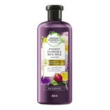 Shampoo Nutritivo Con Antioxidantes, Arroz Y Algas Marinas