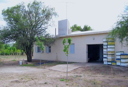 Vendo Campo De 30ha. Paraje Los Hormigueros, Cruz Del Eje.