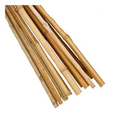40 Varas De Bambú Seco Tutores Manualidades Cultivo 150 Cm A