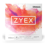 D 'addario Zyex Viola Nico Una Cadena