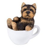Yorkie Cachorro Adorable Mini Teacup Pet Pals Cachorro ...