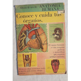 Album Figurita Antiguo * Anatomia Humana Cuida Organos Ritmo