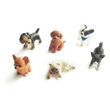 Miniatura Para Gato, Modelo De Perro, Figura De Juguete, Ani