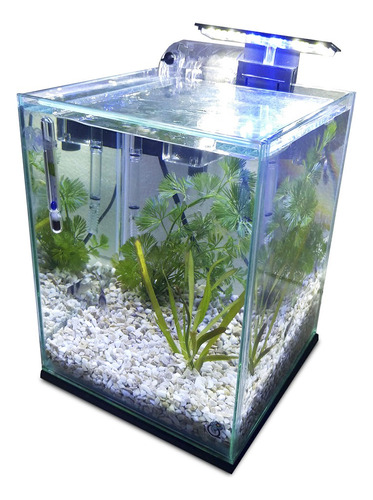 Aquário 10l Quili Classic Nano Completo + Decoração Natural