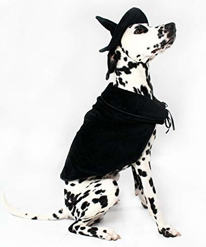 Ropa Gato - Midlee Halloween Witch Cape And Hat Dog Costume 