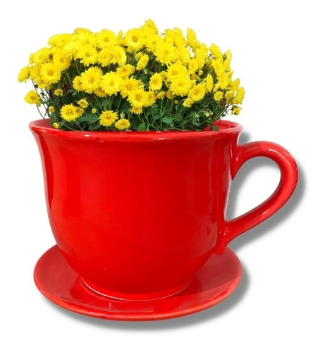 Maceta Taza Con Base Cerámica Roja Minimalista