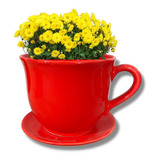 Maceta Taza Con Base Cerámica Roja Minimalista