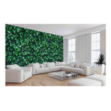 Papel De Parede Coberta De Folhas Planta Muro 9,5m² Xna251