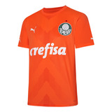 Camisa Palmeiras Puma Goleiro 23 Uniforme 3 Torcedor Oficial