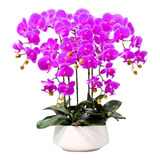 Arreglo De 6 Orquídeas Artificiales De Tacto Natural Morada 