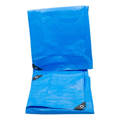 Lona Azul Para Sombra O Lluvia 90 Gr 3x3 M