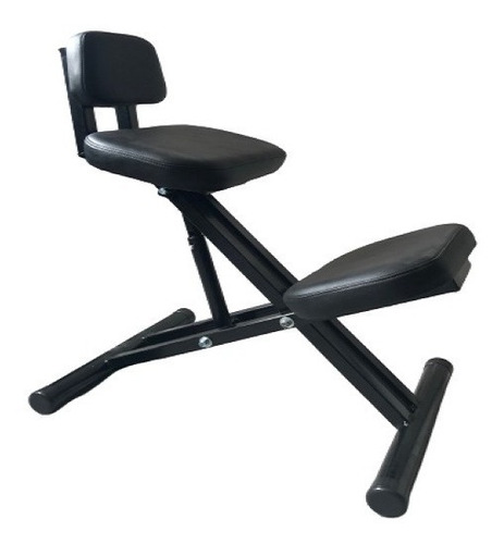 Silla Ergonomica Postural Con Resplado