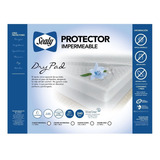 Protector Dry Pad Individual